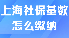 2025年上海居轉戶落戶社?；鶖狄螅?倍、2倍、3倍需要交多少？